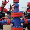 Нефти предрекли будущее: Россию ждет большой риск и большие доходы (Сотрудники компании на нефтяном кусте в районе города Покачи | © РИА Новости / Илья Питалев) Сотрудники компании …