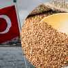 Турецкие выборы подводят 'зерновую сделку' (зерно-турция) зерно-турция