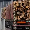 Финские лесопилки оказались на грани банкротства
