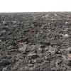 Почва — богатство и ресурс развития России (Почва. Фото: fsvps.gov.ru) Почва. Фото: fsvps.gov.ru
