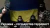 Украина – государство террорист