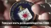 Тяжелая плеть разведсообщества США