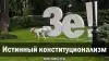 Истинный конституционализм